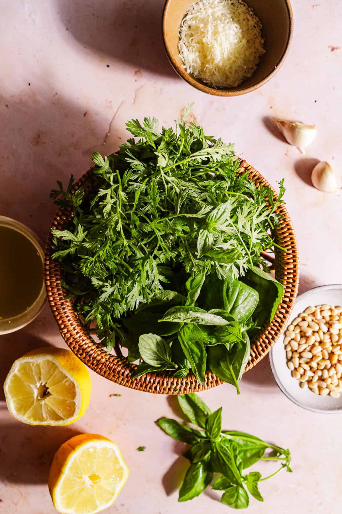 A basket full of cleaned carrot tops and basil leaves.