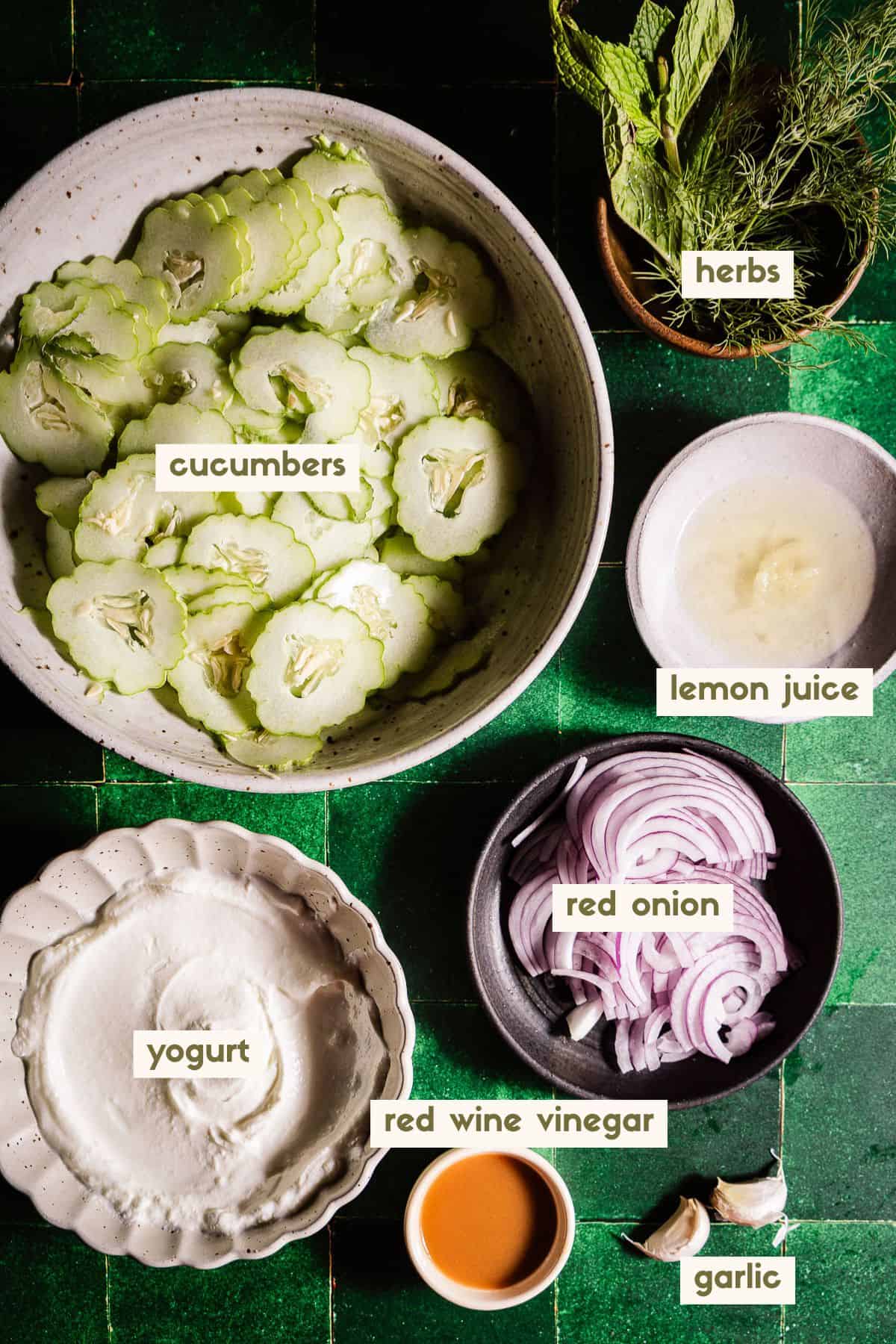 Cucumbers, herbs, lemon juice, red onion, yogurt, red wine vinegar, garlic ingredients with labels.
