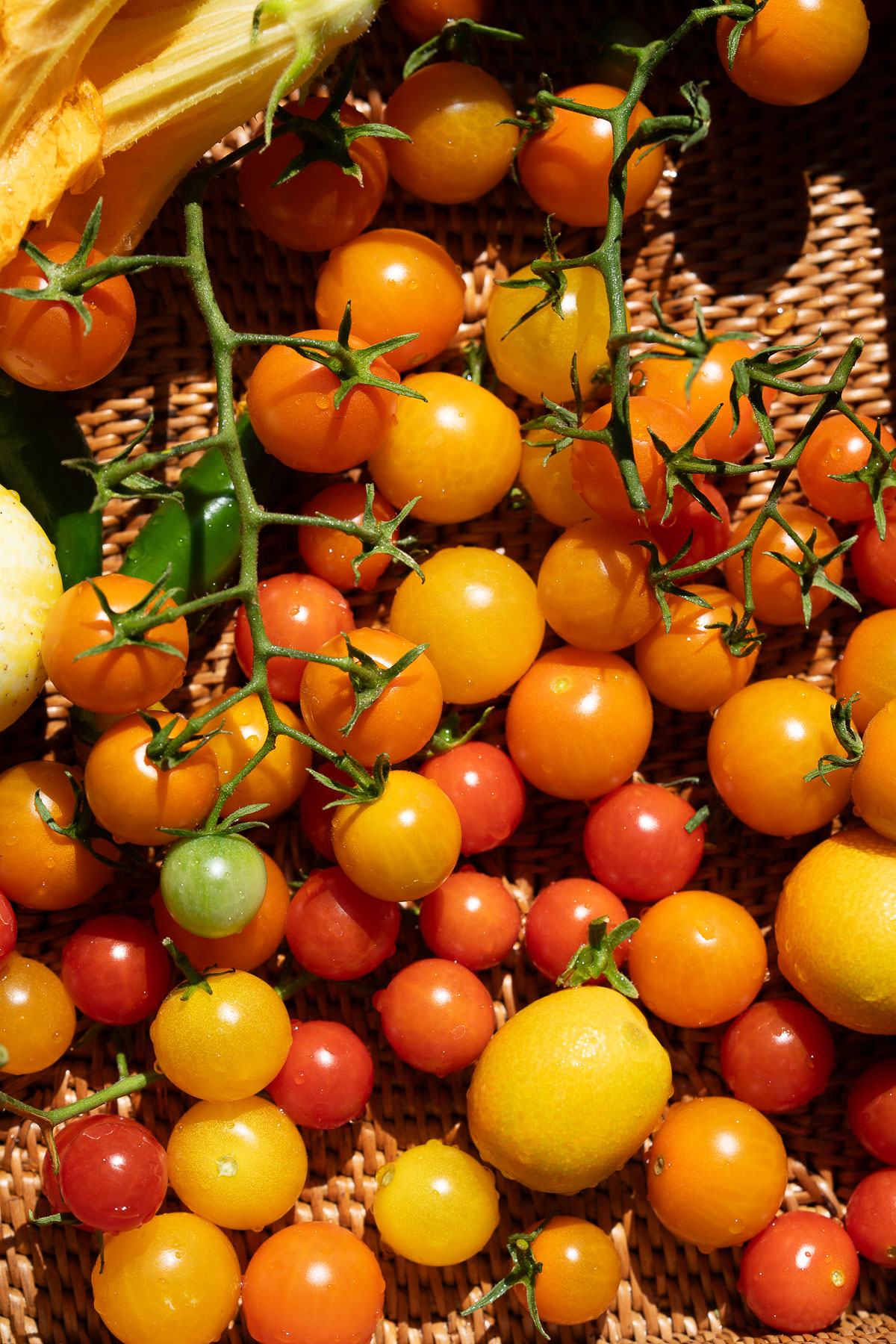 A basket with a garden harvest of peppers, kumquats, and zucchini blossoms.